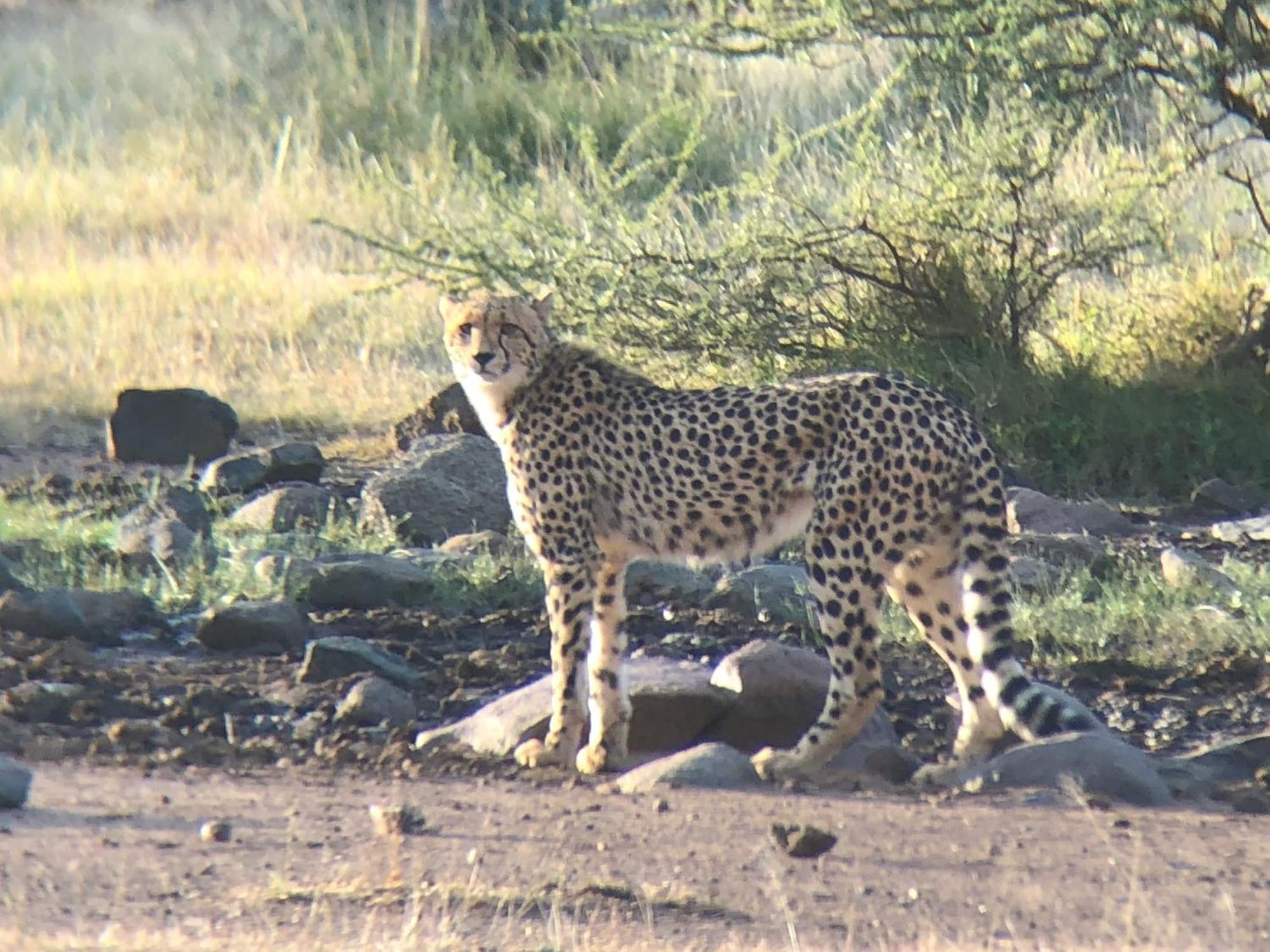 Pangolin Game Lodge - Self Catering, Incl 2 Game Drives Per Day Matlhagame Exteriér fotografie
